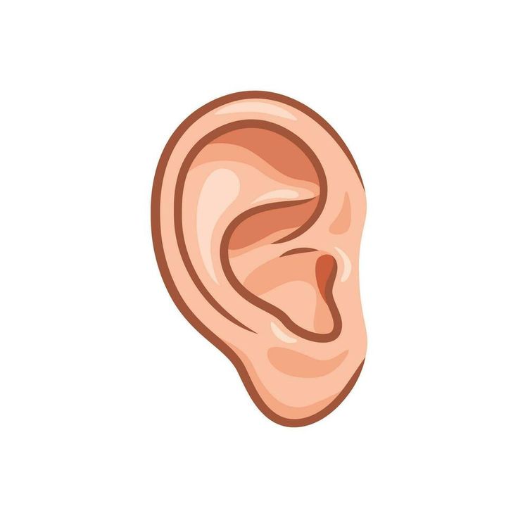 Ear representing hearing