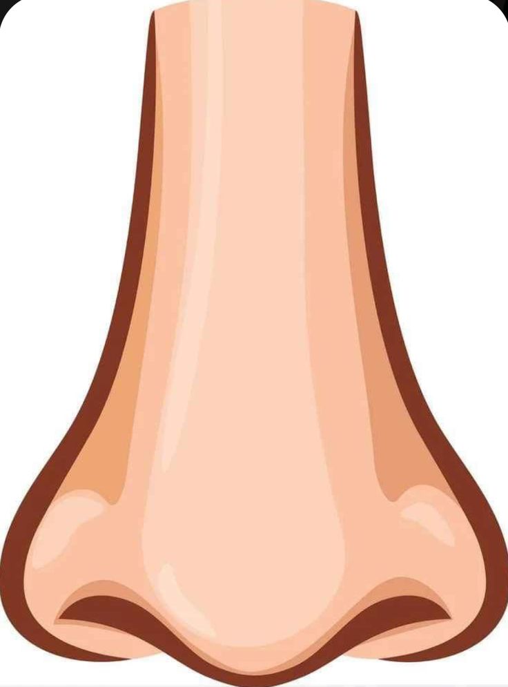 Nose representing smell